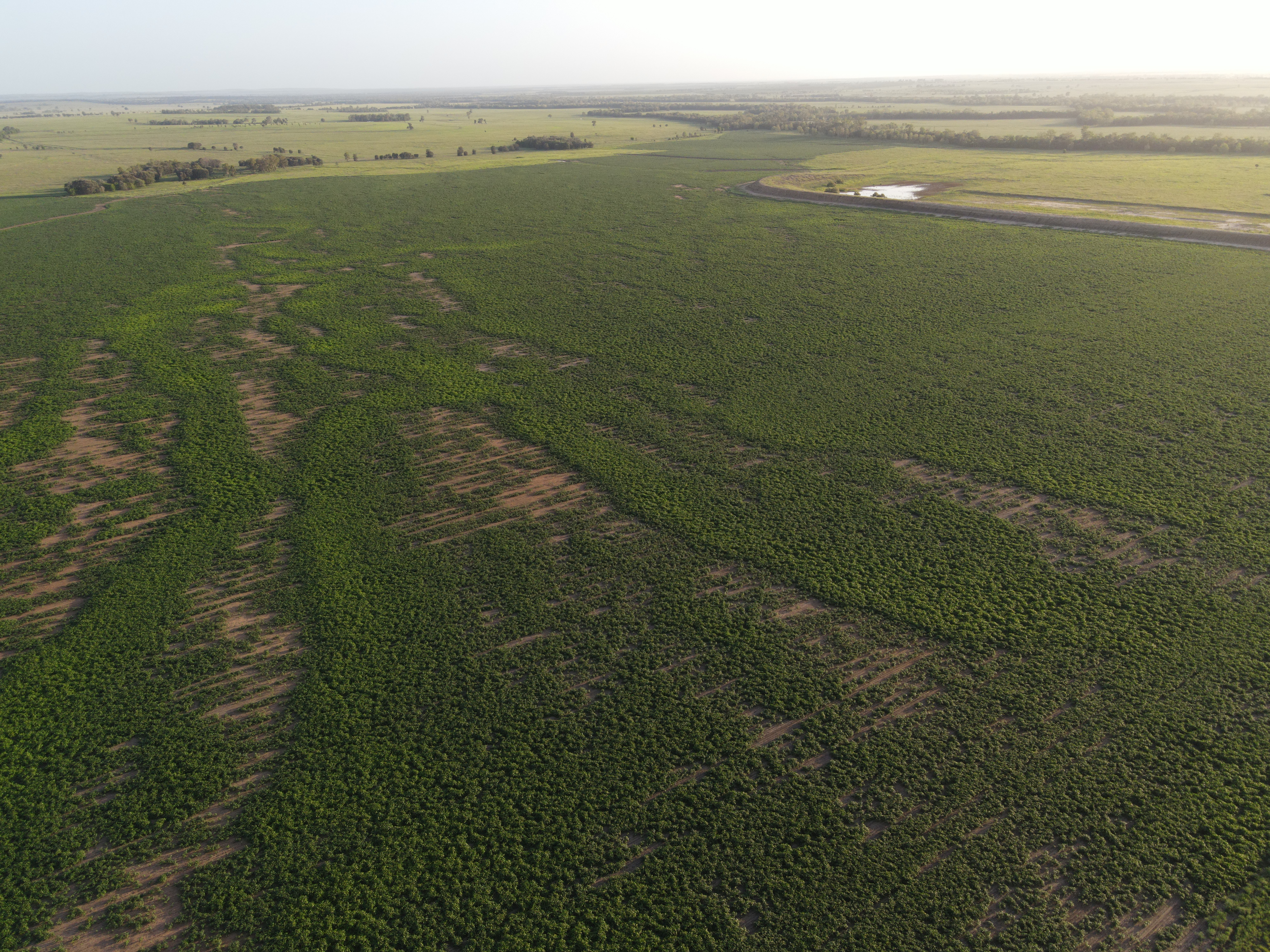 DJI_0265.jpg
